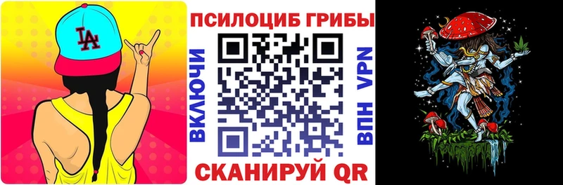 Галлюциногенные грибы MAGIC MUSHROOMS  Купить где  Змеиногорск 